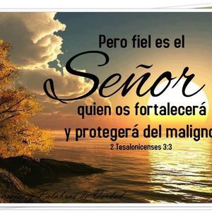 Meet your Posher, Ruth isaias